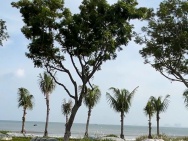 CẦN BÁN MẶT TIỀN BIỂN  ĐƯỜNG HOÀNG SA – KHU PHỨC HỢP ĐÔ THỊ DỊCH VỤ