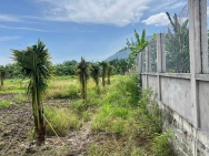 HOT HOT - CẦN BÁN 3 LÔ ĐẤT  TẠI xã hàm minh, huyện Hàm Thuận Nam,