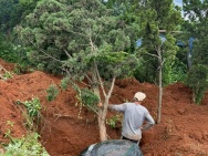 Cần bán 12 lô đất. Xã Phú Hội, Xã Ninh Gia, xã Tà Hine. xã Lạc