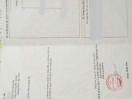 Đất mặt tiền QL1, vị trí KD giá gốc 1,99 tỷ tại thị trấn Dầu Giây