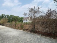 BÁN ĐẤT CHÍNH CHỦ – PHƯỜNG BÌNH DƯƠNG, TP.HCM