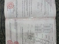 NHÀ + KHO (8x63) DTSD 500M² ĐƯỜNG 6M THÔNG BÙI CÔNG TRỪNG – NHỊ