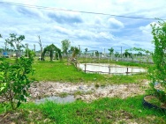 * BÁN ĐẤT NGHỈ DƯỠNG TRUNG TÂM GÒ DẦU – CƠ HỘI ĐẦU TƯ SINH LỜI TẠI