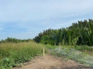 CHÍNH CHỦ CẦN BÁN 1000m² ĐẤT ĐẸP – CÁCH ĐƯỜNG RỪNG SÁC CHỈ 400M –