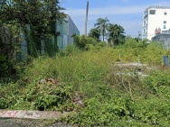 Bán gấp đất đường Vườn Lài An Phú Đông 213m2 giá 14 tỷ, ngan tới