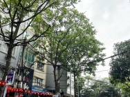 VIP, Bán nhà Văn Cao Hoàng Hoa Thám, ô tô tránh, kinh doanh, 80m,