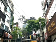 Hiếm, Bán nhà mặt phố Phan Kế Bính, kinh doanh, 40m 7 tầng thang máy