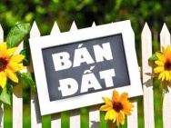 CHÍNH CHỦ CẦN BÁN MẢNH ĐẤT VUÔNG VẮN, ĐẸP TẠI NGÕ 387 VŨ TÔNG PHAN,