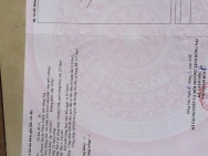 GIÁ TỐT - NHANH TAY SỞ HỮU NGAY Căn Biệt Thự Đẹp Vị Trí Tại Huyện