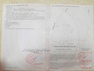 Siêu Lô Đất Mặt Tiền - Đầu tư là sinh lời - Xã Tân Định, Bắc Tân