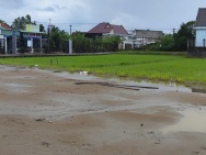 CẦN BÁN GẤP ĐẤT MT ĐƯỜNG BÊ TÔNG. PHÂN LÔ TẠI MỸ YÊN, HUYỆN BẾN