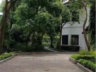 238m² – Ngọc Thuỵ – MT 40m – 3 tầng – Giá 230 tỷ