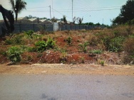 ĐẤT ĐẸP – GIÁ ĐẦU  TƯ  – CHÍNH CHỦ CẦN BÁN LÔ ĐẤT VỊ TRÍ ĐẸP TẠI