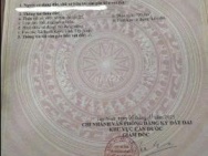 CẦN BÁN GẤP ĐẤT TẠI ẤP ĐỒNG TÂM, XÃ LONG TRẠCH, CẦN ĐƯỚC, LONG AN