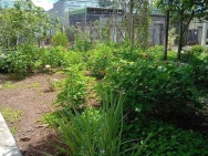 CHO THUÊ ĐẤT THỔ CƯ 5 NĂM TẠI ĐƯỜNG HOÀNG QUỐC VIỆT, LIÊN NGHĨA,