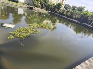 Bán Biệt Thự 3 Tầng 2000 M sân Vườn Đồ Sơn Hải Phòng