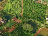 BÁN NHÀ GỖ NGHỈ DƯỠNG – ĐƯỜNG 21 LỘC TÂN, GIÁP KIWIKI – PHƯỜNG 2,