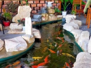 CCG – XUÂN THỚI THƯỢNG, HÓC MÔN - LÔ GÓC 2MT SIÊU ĐẸP – VỊ TRÍ VÀNG