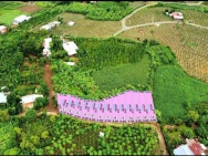 E cần bán sỉ lốc xuân sơn giá đầu tư . 15 ngày nữa có sổ . E cho