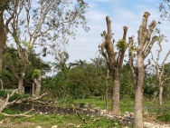 CHỦ CHUYỂN VIỆC – BÁN GẤP TRANG TRẠI DÒNG TIỀN SIÊU TỐT TẠI ĐÔNG