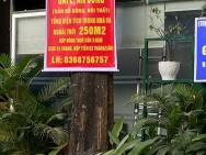 CHÍNH CHỦ CẦN SANG NHƯỢNG GẤP QUÁN CAFE 250m² – MẶT TIỀN 8m TẠI 164