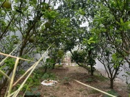 Bán đất cực đẹp Oto tránh Đồng Phố, Tân Dân Phú Xuyên