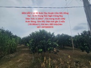 BÁN GẤP 2 Lô Xã Xuân Tây, Huyện Cẩm Mỹ, Đồng Nai - Vị Trí Trung Tâm