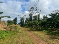 Ea Kiết- Cư Mgar dt 450m2 sẵn thổ cư đường oto tới đất đất full cà