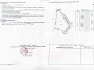 CCG KẸT BÁN GẤP 10.183m² ĐẤT 2 MẶT TIỀN TỈNH LỘ 7, THÁI MỸ, CỦ CHI