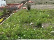 BÁN ĐẤT THỔ CƯ XÂY NHÀ TRỌ – ĐẦU TƯ DÒNG TIỀN ỔN ĐỊNH, SINH LỜI CAO