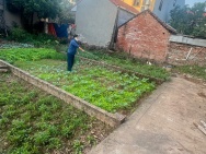 HÀNG F0 RẺ NHẤT ĐAN PHƯỢNG – 50M - GIÁ 5X TRIỆU/M2