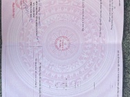 HOT HOT - CẦN BÁN LÔ ĐẤT  5m NE2 VD4 đường lớn TẠI Phường Thới Hòa,