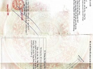 Bán đất phường Phước Hòa (cu) nay là tân phước tphcm