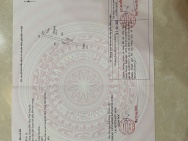 CƠ HỘI ĐẦU TƯ ĐẤT DIỆN TÍCH LỚN – GIÁ TỐT TẠI ĐỨC HÒA, LONG AN