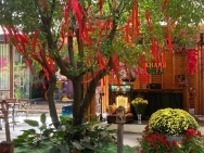 MÌNH CHÍNH CHỦ CHO THUÊ KHUÔN VIÊN QUÁN COFFEE – VIEW ĐẸP KHU VỰC