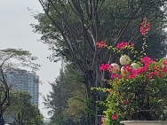 Giá mới 24 tỷ MẶT TIỀN KINH DOANH VIPLIÊN PHƯỜNG Q9 5 x 20