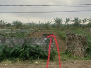 BÁN NHANH LÔ ĐẤT ĐẸP – VUÔNG VẮN - GIÁ TỐT – HƯNG HÀ, THÁI BÌNH