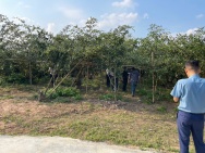 ĐẤT NỀN CHŨ BẮC NINH GIÁ 630 TRIỆU  450M2  KHU DÂN CƯ HIỆN HỮU 