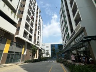 CHO THUÊ CHUNG CƯ THỦ THIÊM GREEN HOUSE - TP HỒ CHÍ MINH