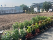 4 LÔ LIỀN KỀ ĐÔNG THẠNH – HXH THẠNH XUÂN 52 – SỔ RIÊNG TỪNG LÔ