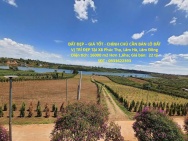 ĐẤT ĐẸP – GIÁ TỐT - CHÍNH CHỦ CẦN BÁN LÔ ĐẤT VỊ TRÍ ĐẸP TẠI Xã Phúc