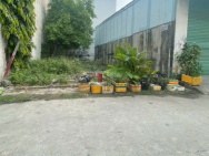 Bán đất sổ hồng mới tinh Thanh Xuân 22 quận 12 chỉ 4,15 tỷ tới