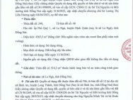 Ngân Hàng BIDV Bán đấu Giá Công Khai Lô Đất Tại Xã Bình An, Long