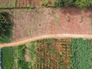 Xuân sơn gần chợ gần Ủy ban khu dân cư 
Đường bê tông
Giá chỉ 450tr