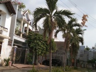 Chính chủ cần Cho thuê nhà 1 trệt 1 lầu mới 19A, Phạm Ngọc Thảo