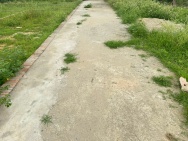 Chỉ với 2,5 tỷ, sở hữu lô đất 54m, thôn Ấp Quan - tổ 9, Quang Minh,