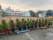 CHỈ 4 NỀN DUY NHẤT NHỰA ĐÔNG THẠNH VỊ TRÍ ĐẸP – GIÁ 3.75 TỶ