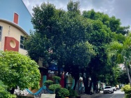 Chính chủ bán lô đất ngang 5.5 x 18, hẻm thông ô tô, đường 6m, ở