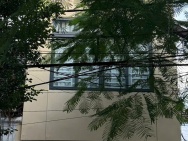 KHAI XUÂN ĐẦU NĂM – CHO THUÊ NHÀ NGUYÊN CĂN MẶT TIỀN ĐƯỜNG TRẦN