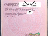 CHÍNH CHỦ Cần Bán 2 LÔ MẶT TIỀN Vị Trí Ấp Thanh Xuân, Xã Thiện